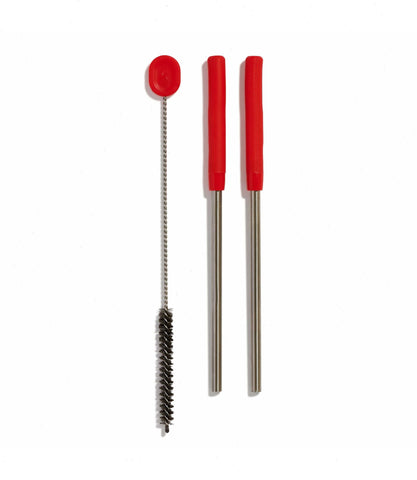 Stainless Steel Straw Set