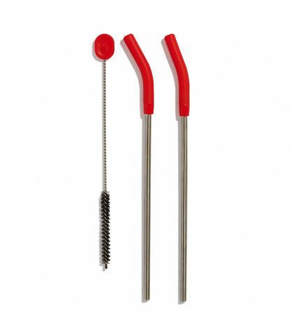 Stainless Steel Straw Set